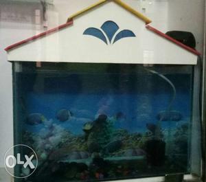 Contact me fish aquarium is going to sale