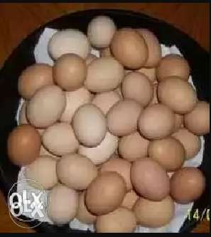 Country hen egg for sale.Rs 6 per egg.