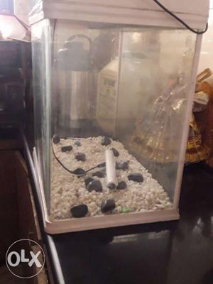 Electric aquarium with led lights 1 year old in