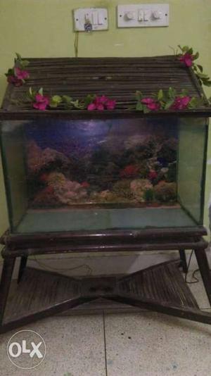 Fish Aquarium Size 28 x 13 x 16 With wooden cover