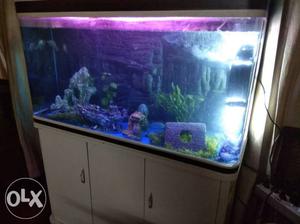 Fish Aquarium Sobo size 3' 4"