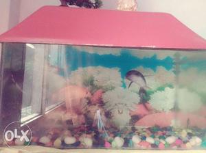 Fish Aquarium only 2 months in very good condition
