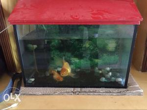 Fish Tank For sale