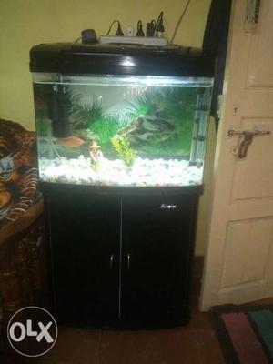 Fish Tank With table aquarium