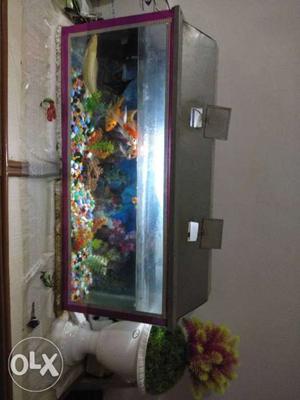 Fish aquarium Little damaged No other issue Contact fast