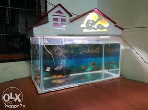 Fish tank. Fish and air motor