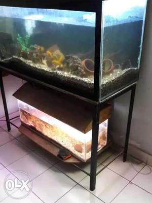 Fish tank aquarium 4ft. Tank and 3 ft. Tank