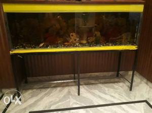 Good condition aquarium 6 feet long with stand with fishes