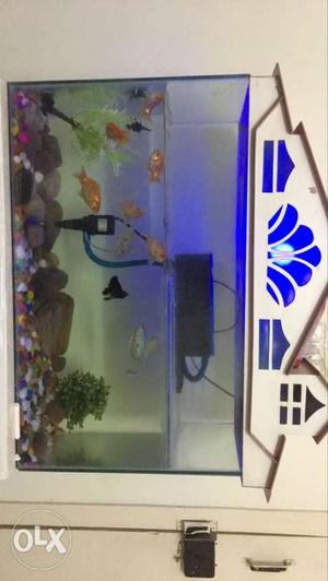 Includes fish stand,fishes,fish tank,accessories