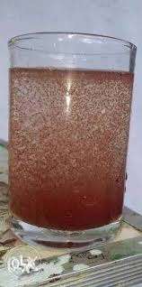Moina culture for sale good quality and good
