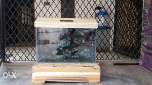 New 3D background Aquarium Tenk With Top Fish
