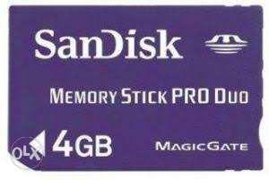 Purple SanDisk 4 GB