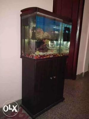 Rectangular Clear fiber Fish Tank With Brown frame