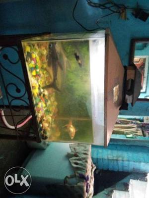 Rectangular Fish Tank With Brown Lid
