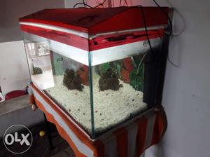 Red Frame Clear Pet Tank
