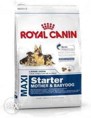 Royal canin dogs food n accessories