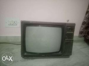Vintage Bush TV