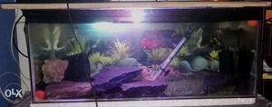 Aquarium with heater filter light for sale