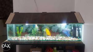 Fish tank for sell with wooden roof and all