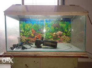 I want sell my fish tank 2ft/1ft/1ft With heater,