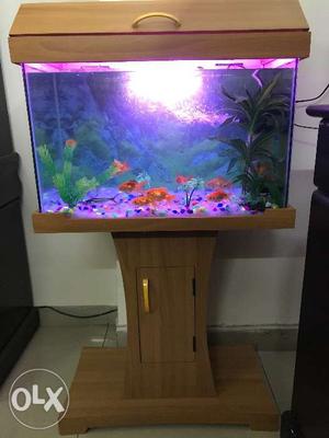 New Aquarium(few days old) With wood cabinet