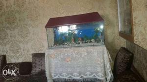 Pet Tank With Red Frame