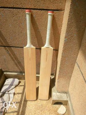 English willow Cricket Bats