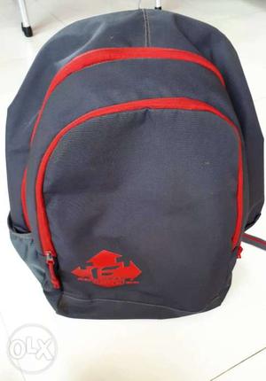 Grey and red Backpack No damages