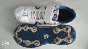 SG cricket spike shoes in good condition. Size 8.