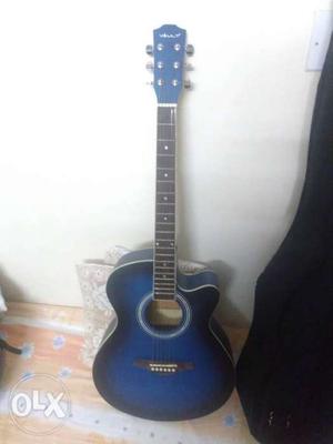 Acoustic Guitar Unused