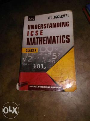 Best maths book for ICSE