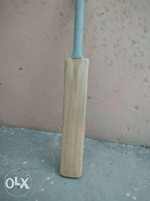Custom Cricket Bat