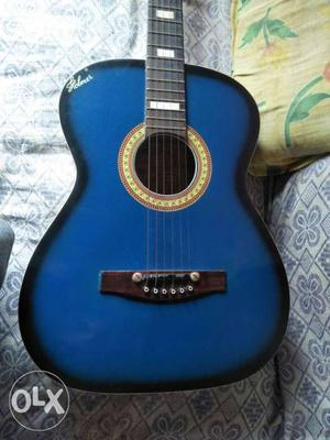Hobner export 120 Blue shine Burst Acoustic Guitar