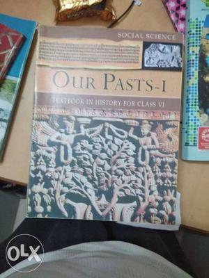 Social Science Our Pasts-I Book