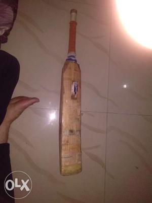Used kashmir willow bat