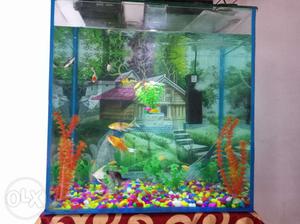 A Big Size aquarium new only 4 days seller want