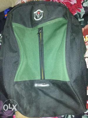 DPS School bag (new)