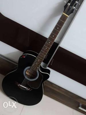 Ozone guitar used 2 days only