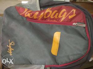 Skybag original backpack.. In good shape and only 8 month