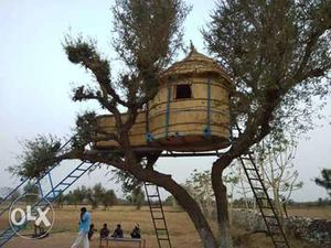 Brown Wooden Treehouse
