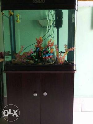 Contact us for fish aquariums at much cheaper
