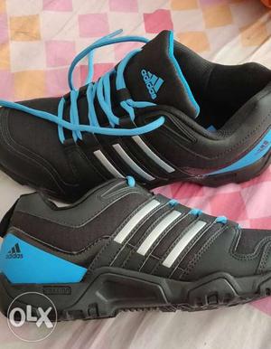 Adidas Solid Outdoor/Training/Gym shoes Brand new
