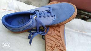 Blue DC Low-top Shoes