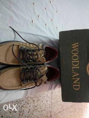 Brand new wood Land shoes of 10 n actually my no