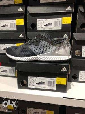 Pair Of Gray Running Shoes With Box