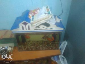 2 feet fish tank full set sale urgent