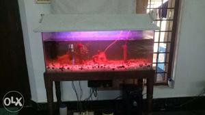 3 feet fish tank full