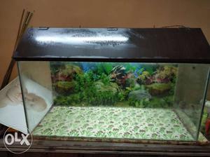 3 feet fish tank with cover shade having tube