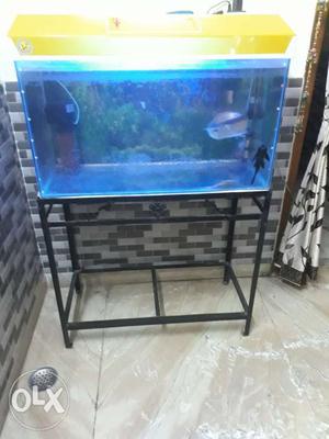 4 months old aquarium. Length 3 Feet width 15 inch and a