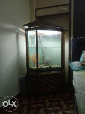 A designer fish tank looks like a hut 5ft height.